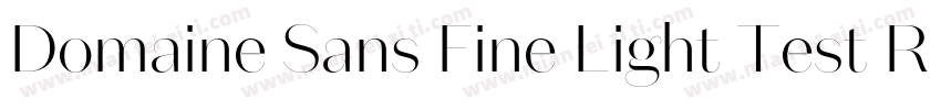 Domaine Sans Fine Light Test Regula字体转换